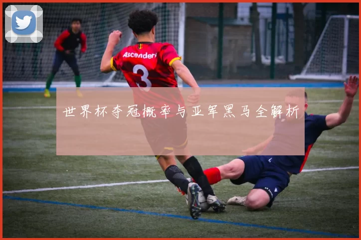 世界杯夺冠概率与亚军黑马全解析