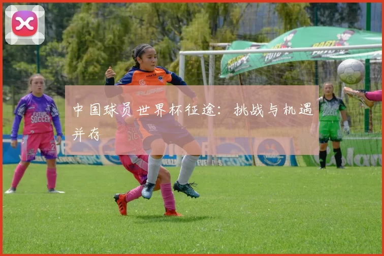 中国球员世界杯征途:挑战与机遇并存