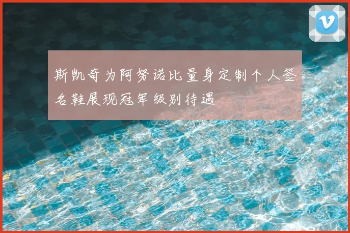 斯凯奇为阿努诺比量身定制个人签名鞋展现冠军级别待遇