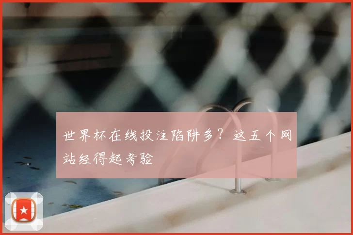 世界杯在线投注陷阱多?这五个网站经得起考验
