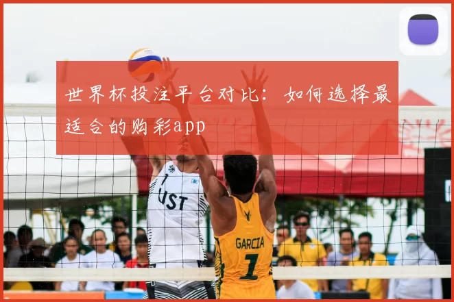 世界杯投注平台对比:如何选择最适合的购彩app