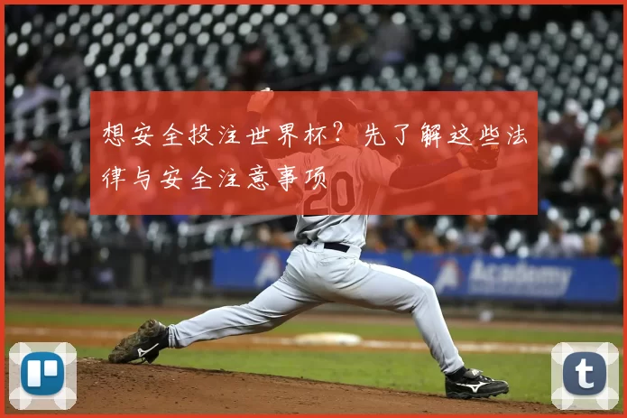想安全投注世界杯?先了解这些法律与安全注意事项