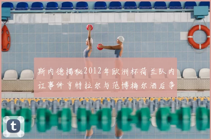 斯内德揭秘2012年欧洲杯荷兰队内讧事件亨特拉尔与范博梅尔酒后争执内幕