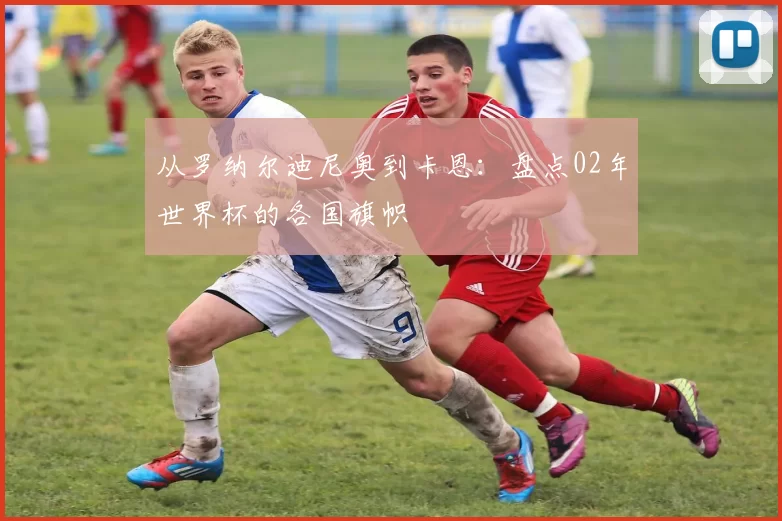 从罗纳尔迪尼奥到卡恩:盘点02年世界杯的各国旗帜