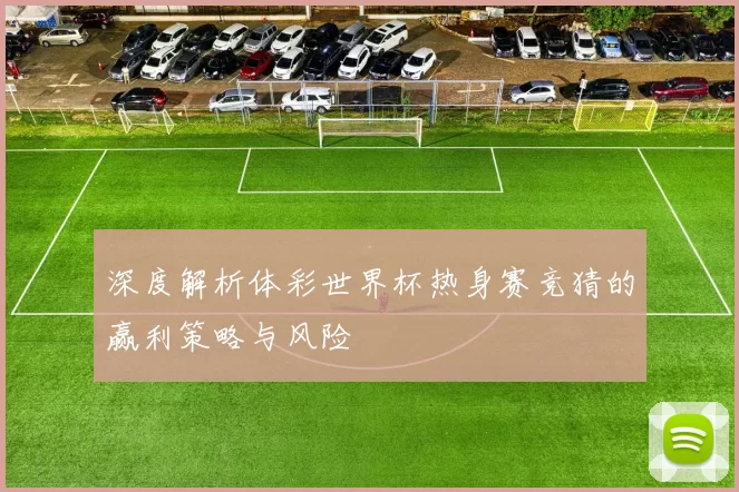 深度解析体彩世界杯热身赛竞猜的赢利策略与风险